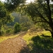 Nature Trail