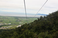 Down Towards Cairns