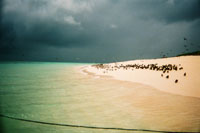 Storm