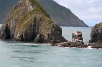 Birds on Rocks