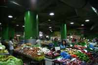 Paddy Food