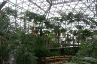 Casino Dome