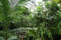 Butterfly Sanctuary