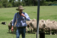 Shepherd