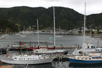Picton