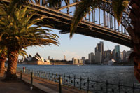 Opera House Bridge