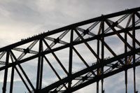 Bridge